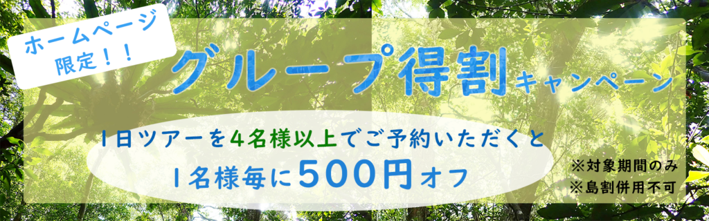 西表島カヌーツアー　キャンペーンバナー